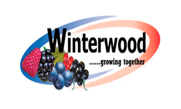 WINTERWOOD