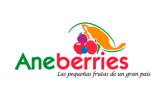 aneberries