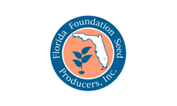 florida foundation