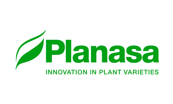 planasa